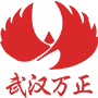 武漢市萬正系統集成有限責任公司